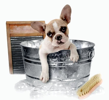 Pet Bath & Grooming Supplies