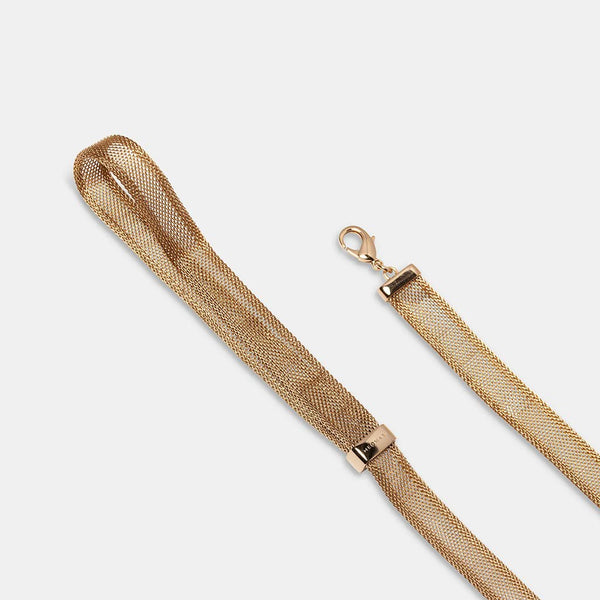 Meomari Bandettini Gold Tone Dog Leash