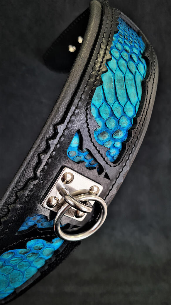 Bestia the Morelia Python Dog Collar