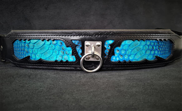 Bestia the Morelia Python Dog Collar