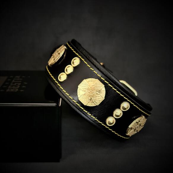 Bestia Maximus Dog Collar - Black and Gold