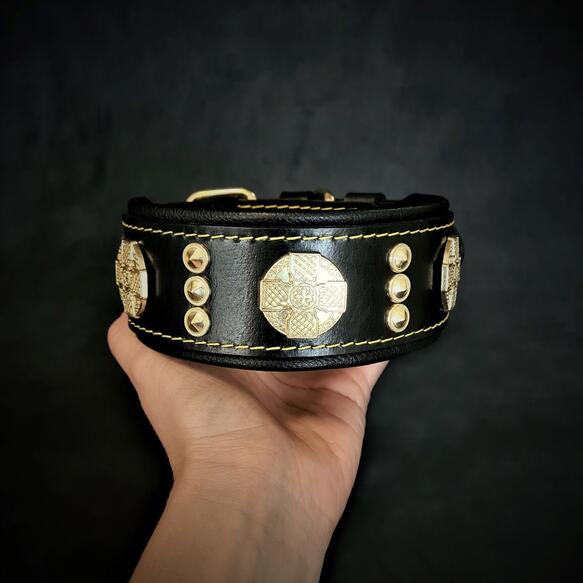 Bestia Maximus Dog Collar - Black and Gold