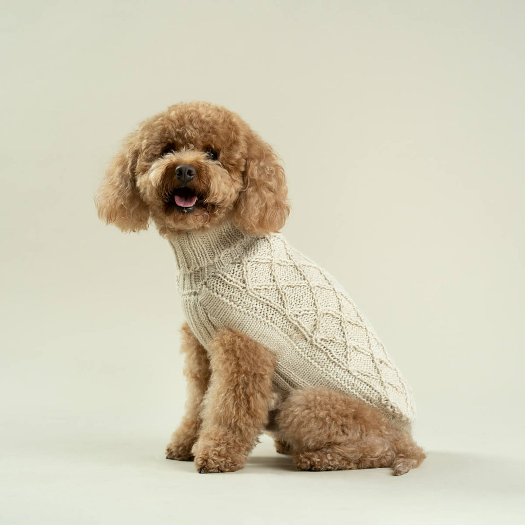 Alqo Wasi Diamond Knit Alpaca Dog Jumper - Natural