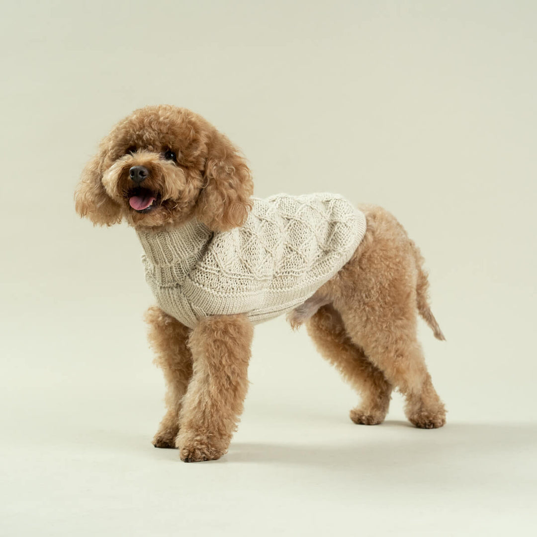 Alqo Wasi Diamond Knit Alpaca Dog Jumper - Natural