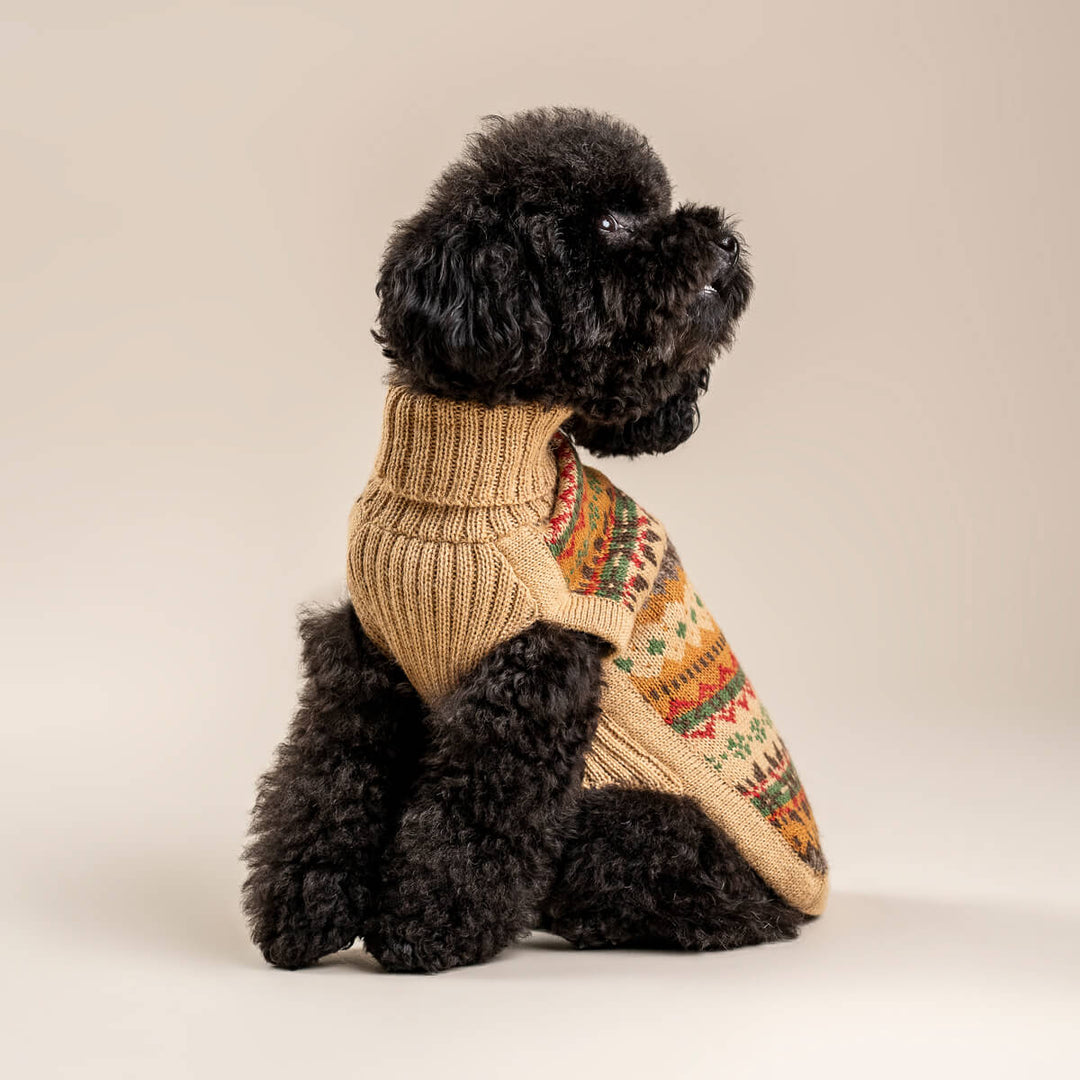 Alqo Wasi Fair Isle Finn Alpaca Dog Jumper