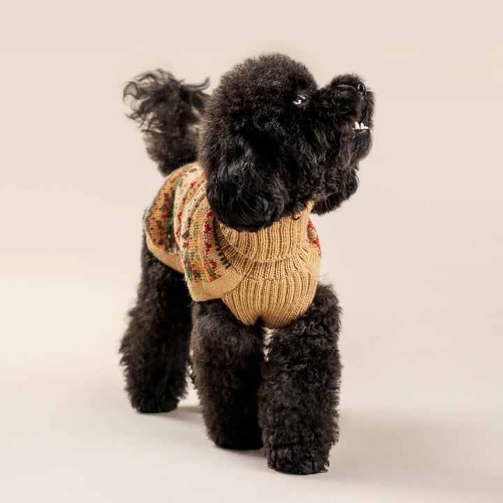 Alqo Wasi Fair Isle Finn Alpaca Dog Jumper