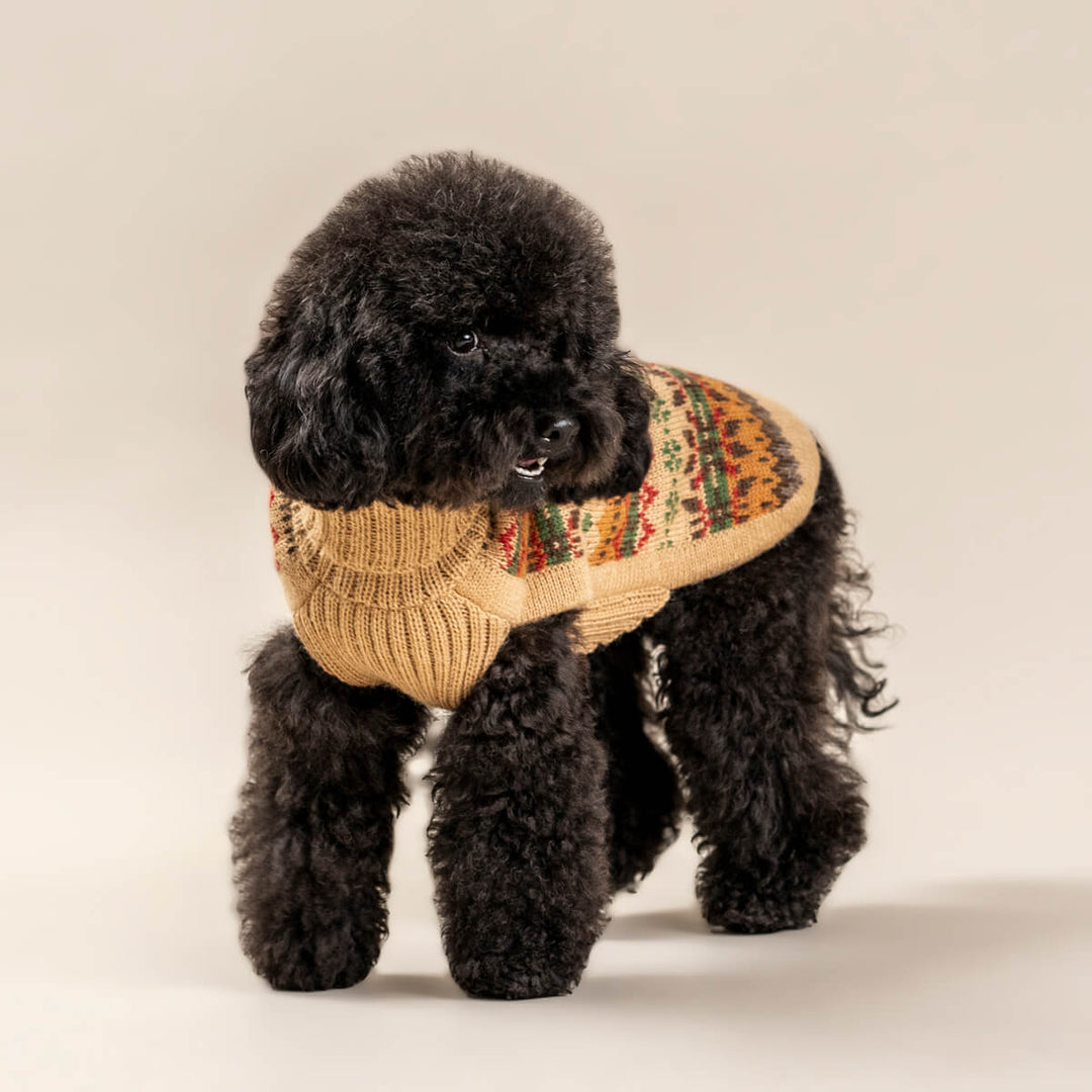 Alqo Wasi Fair Isle Finn Alpaca Dog Jumper