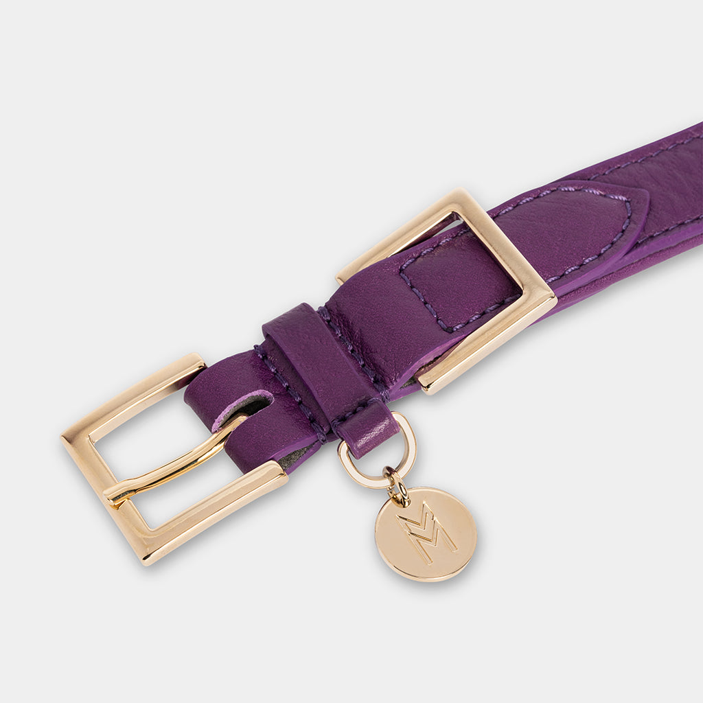 Meomari Da Piacenza Dog Collar - Purple