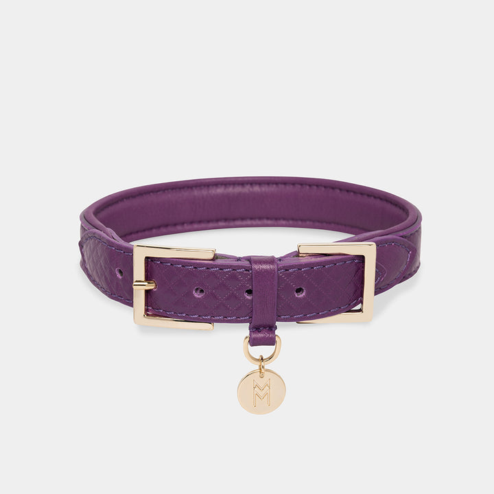 Meomari Da Piacenza Dog Collar - Purple