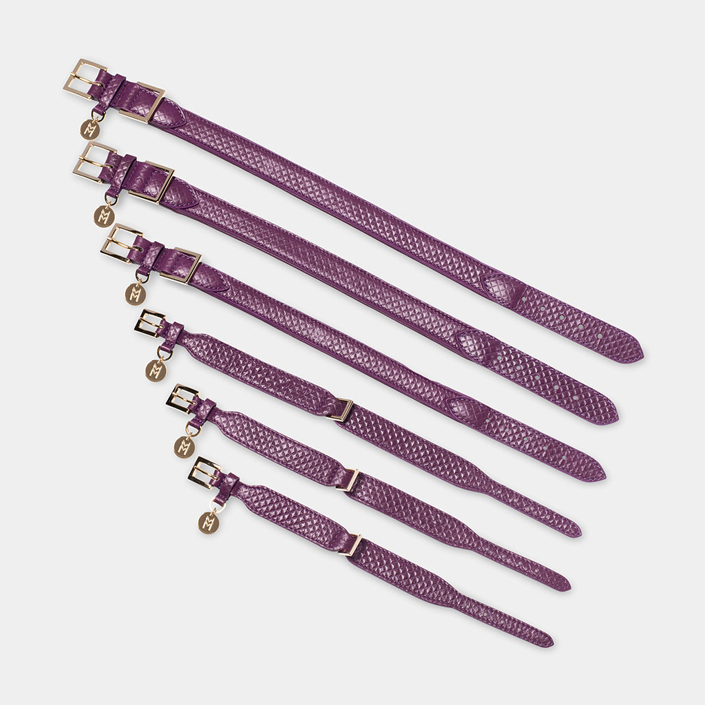 Meomari Da Piacenza Dog Collar - Purple