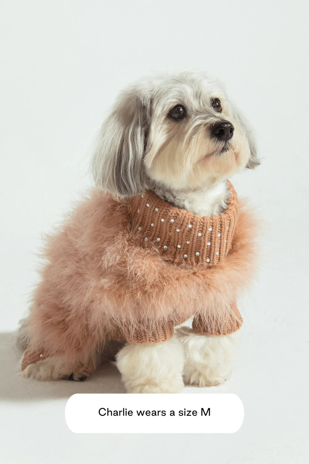 Buy Designer Dog Clothes Online Lux Pets Australia