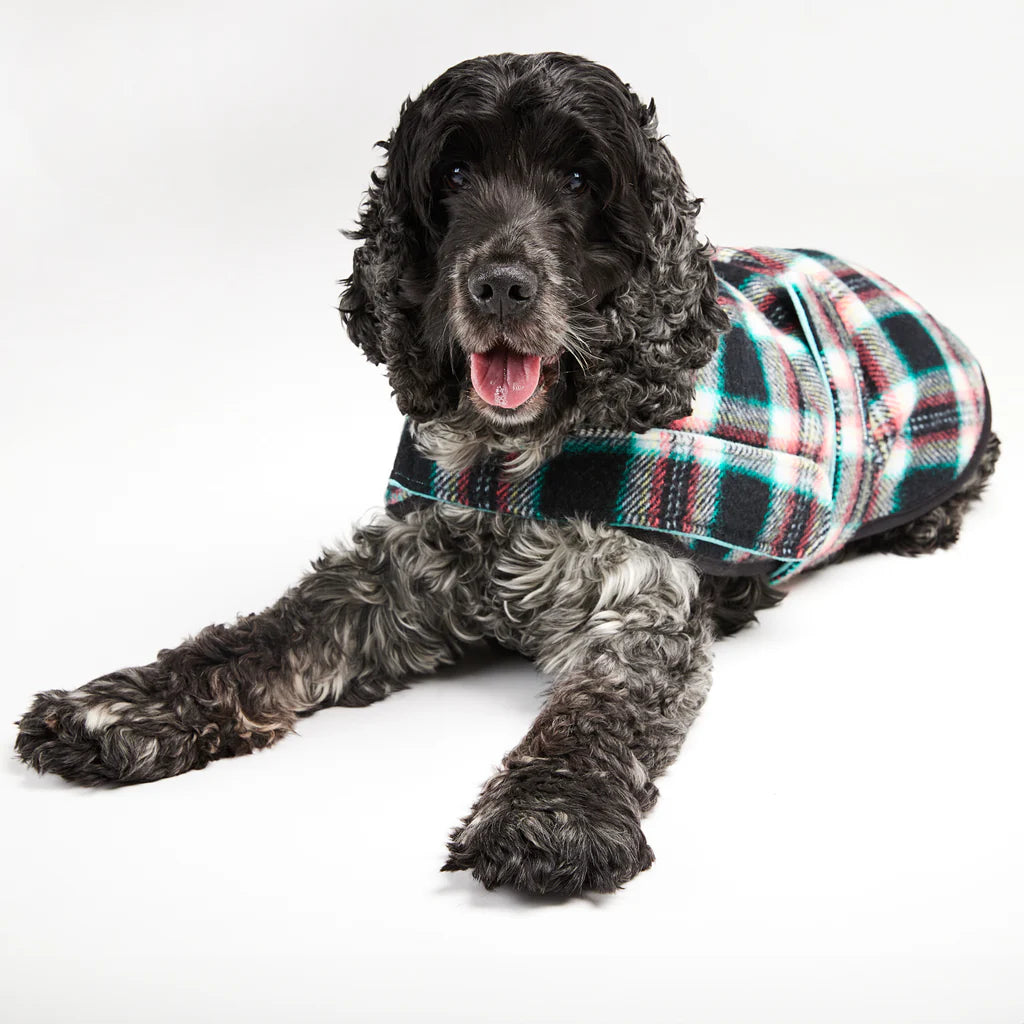 Dog Coat Pure Marino Wool Black Cockatoo Teal
