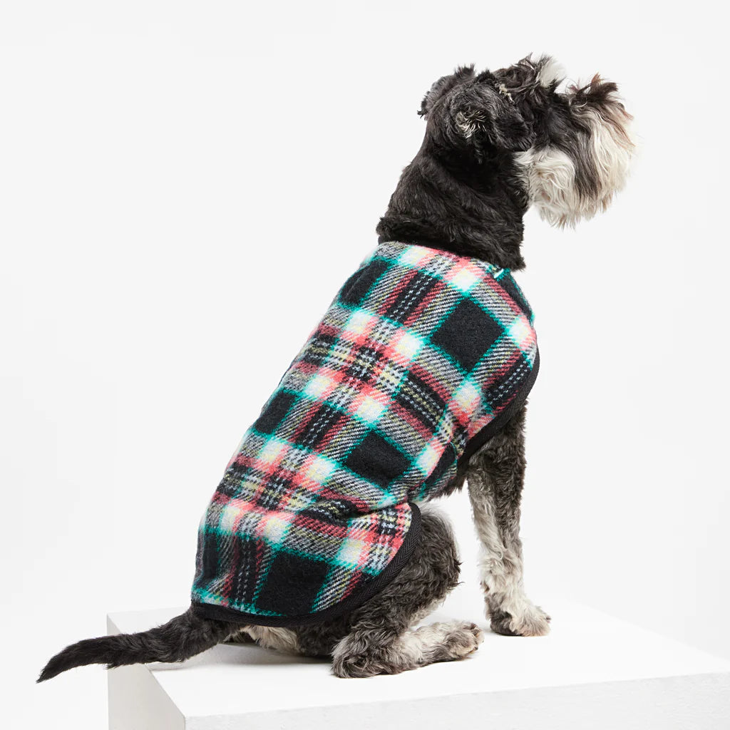 Dog Coat Pure Marino Wool Black Cockatoo Teal