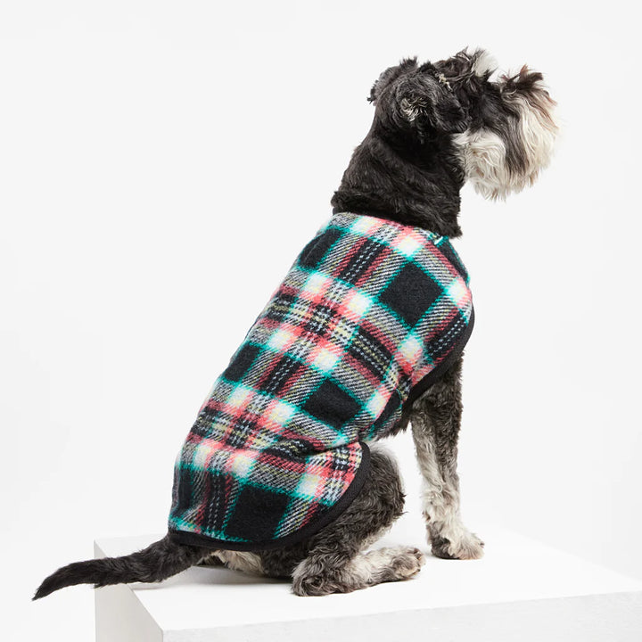 Dog Coat Pure Marino Wool Black Cockatoo Teal