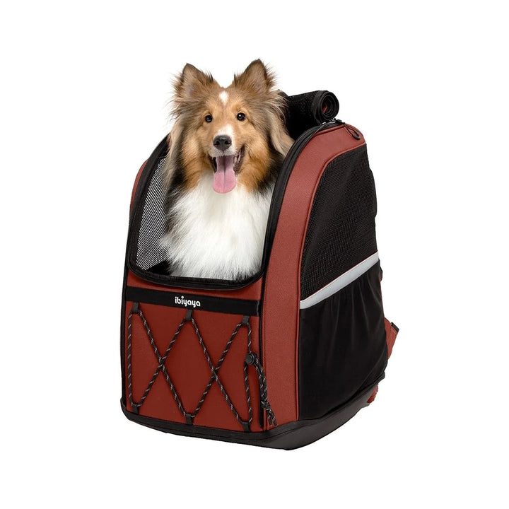 Ibiyaya Large Dog Carrier Backpack - Maroon