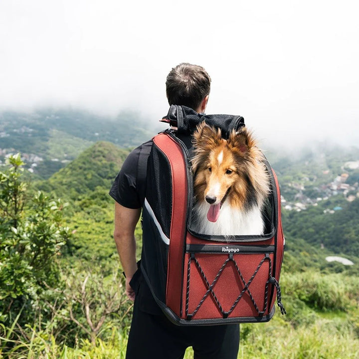 Ibiyaya Large Dog Carrier Backpack - Maroon