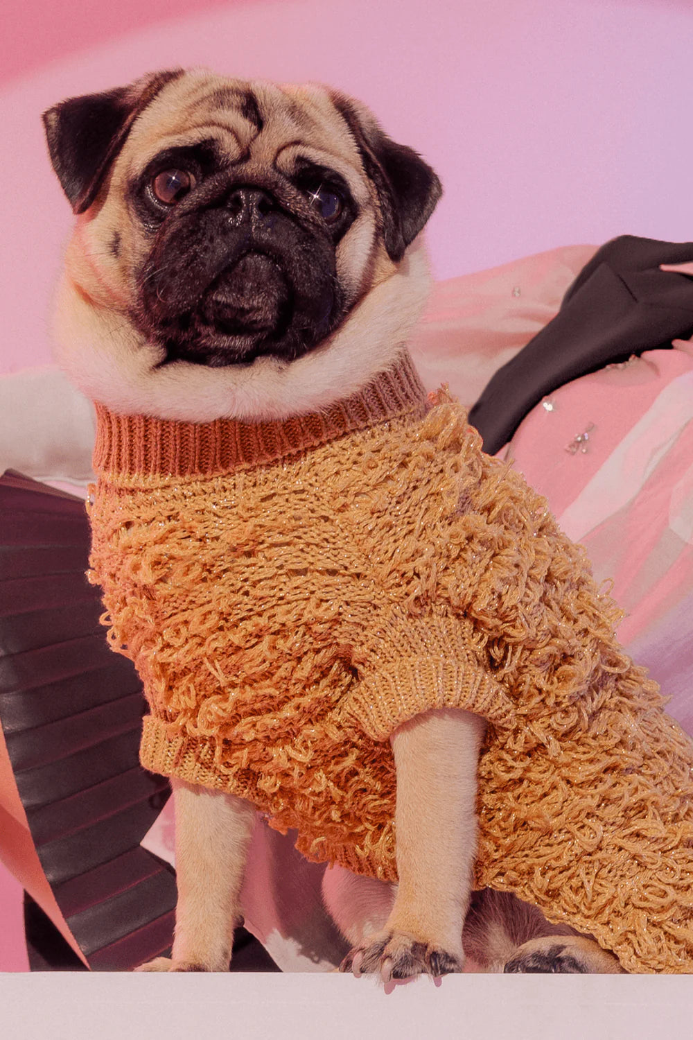 Pug Sweater Knitting Pug Knitting Pattern Maxbone Metallic Curly