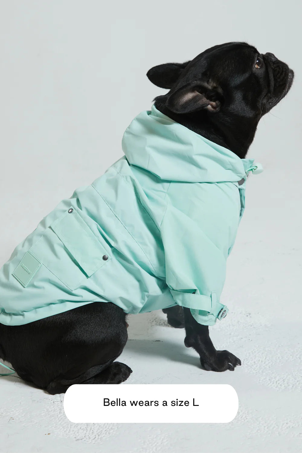 Maxbone Talon Dog Raincoat - Mint