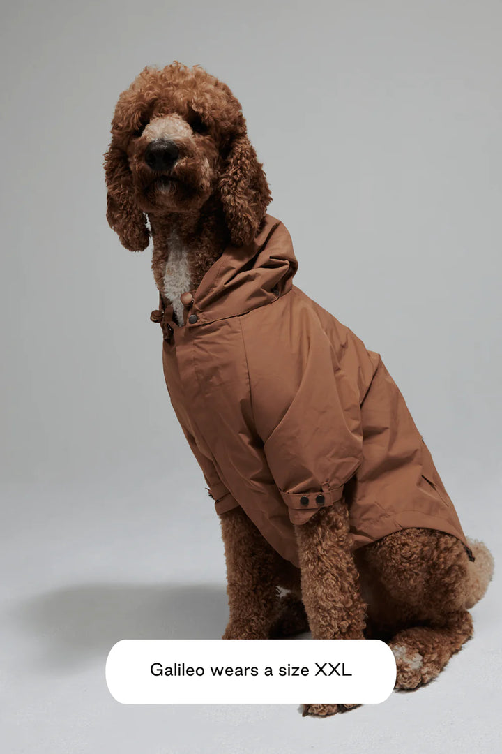Maxbone Talon Dog Raincoat - Camel