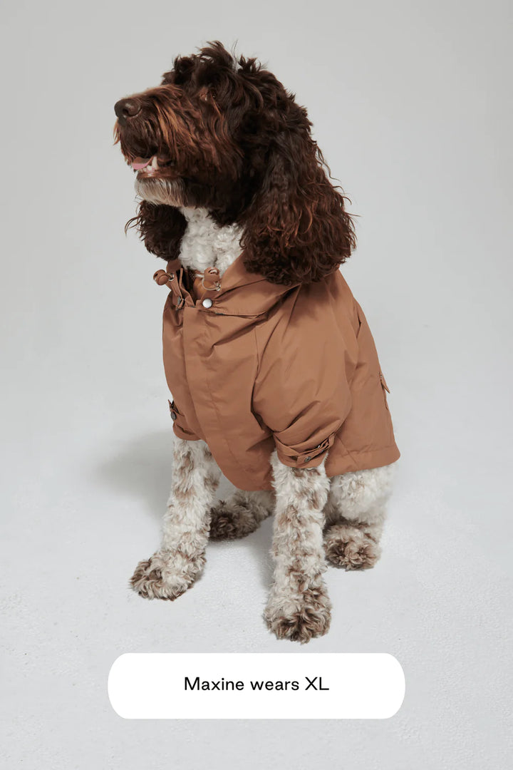 Maxbone Talon Dog Raincoat - Camel
