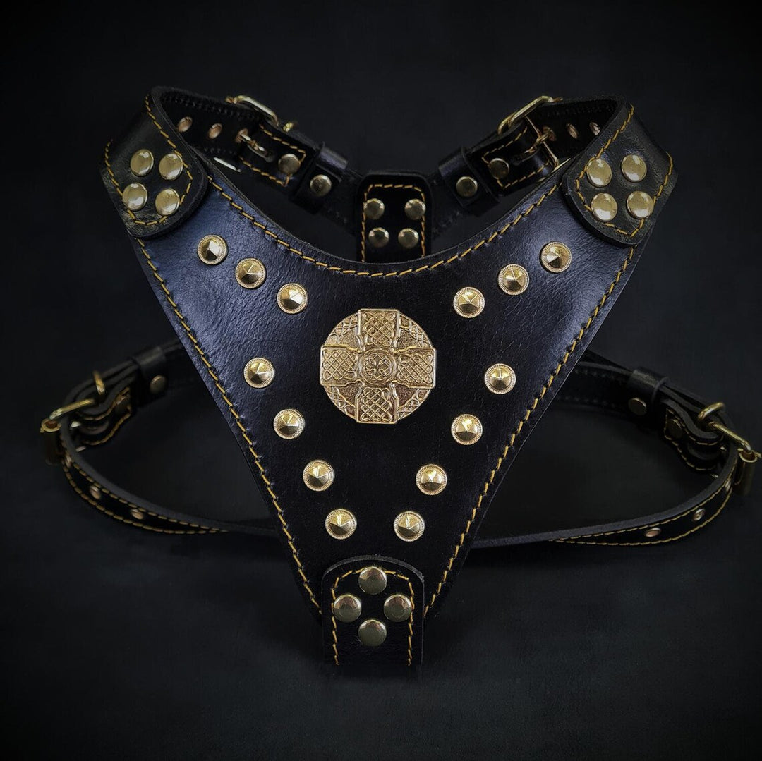 Bestia Maximus Dog Harness Black and Gold