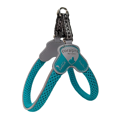 Dog  Harness - The Cinquetorri Turquoise