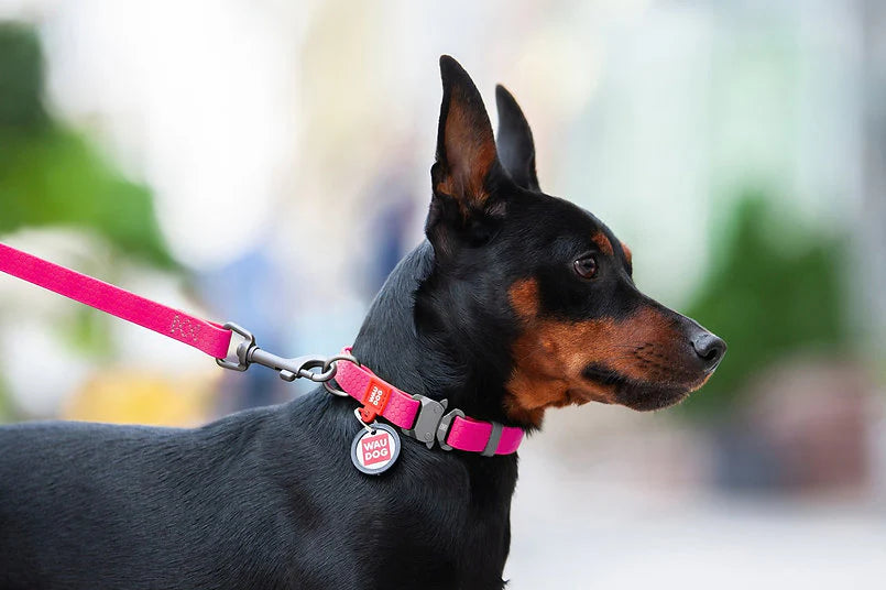 Waudog Waterproof Collar with QR Passport - Pink