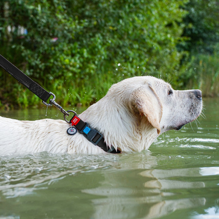 Waudog Waterproof Dog Leash - Black