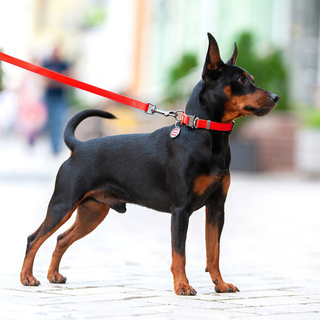 Waudog Waterproof Dog Leash - Red