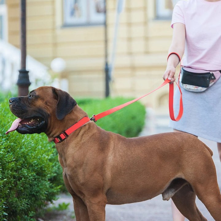 Waudog Waterproof Dog Leash - Red