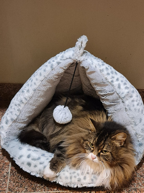 Cattitude Snow Leopard Teepee Cat Bed