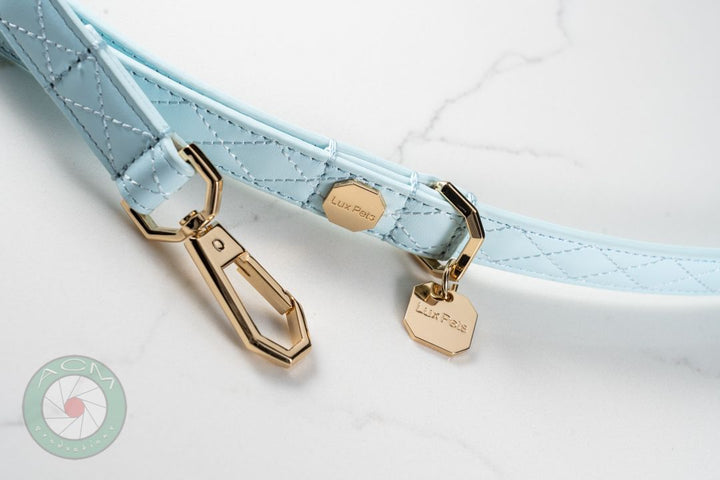 Leather Dog Leash - Blue