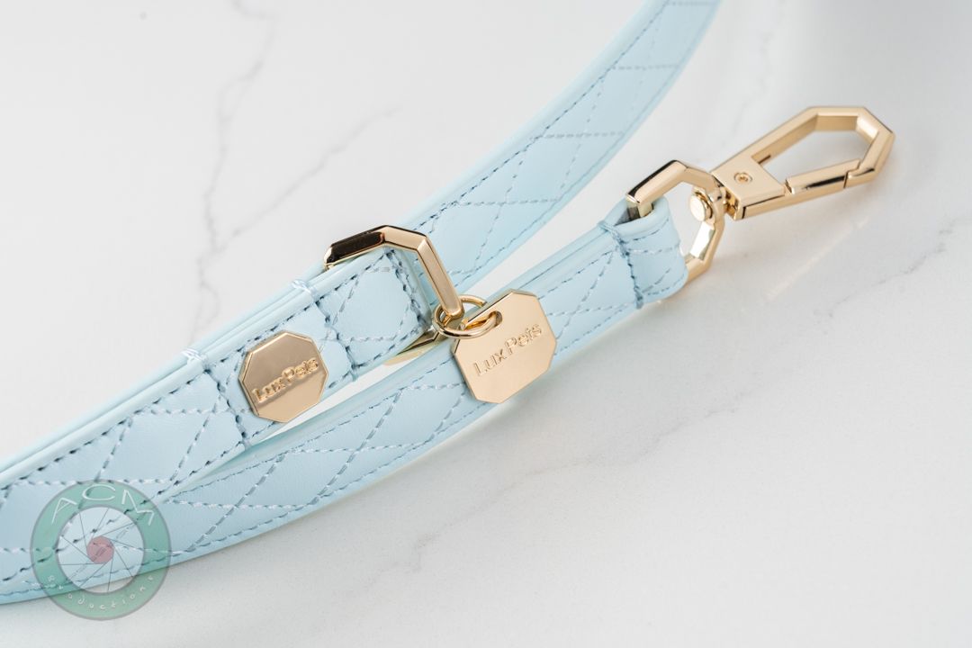 Leather Dog Leash - Blue