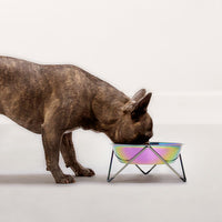 Elevated Woof Luxe Iridescent Dog Bowl With Copper Stand - Bendo