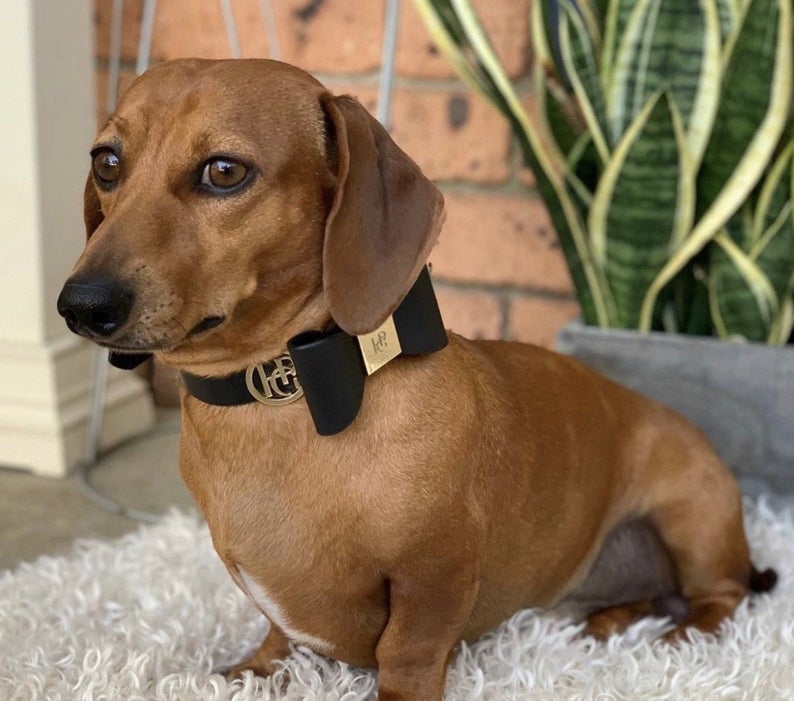 Leather Bow Tie Collar - Black - HGP