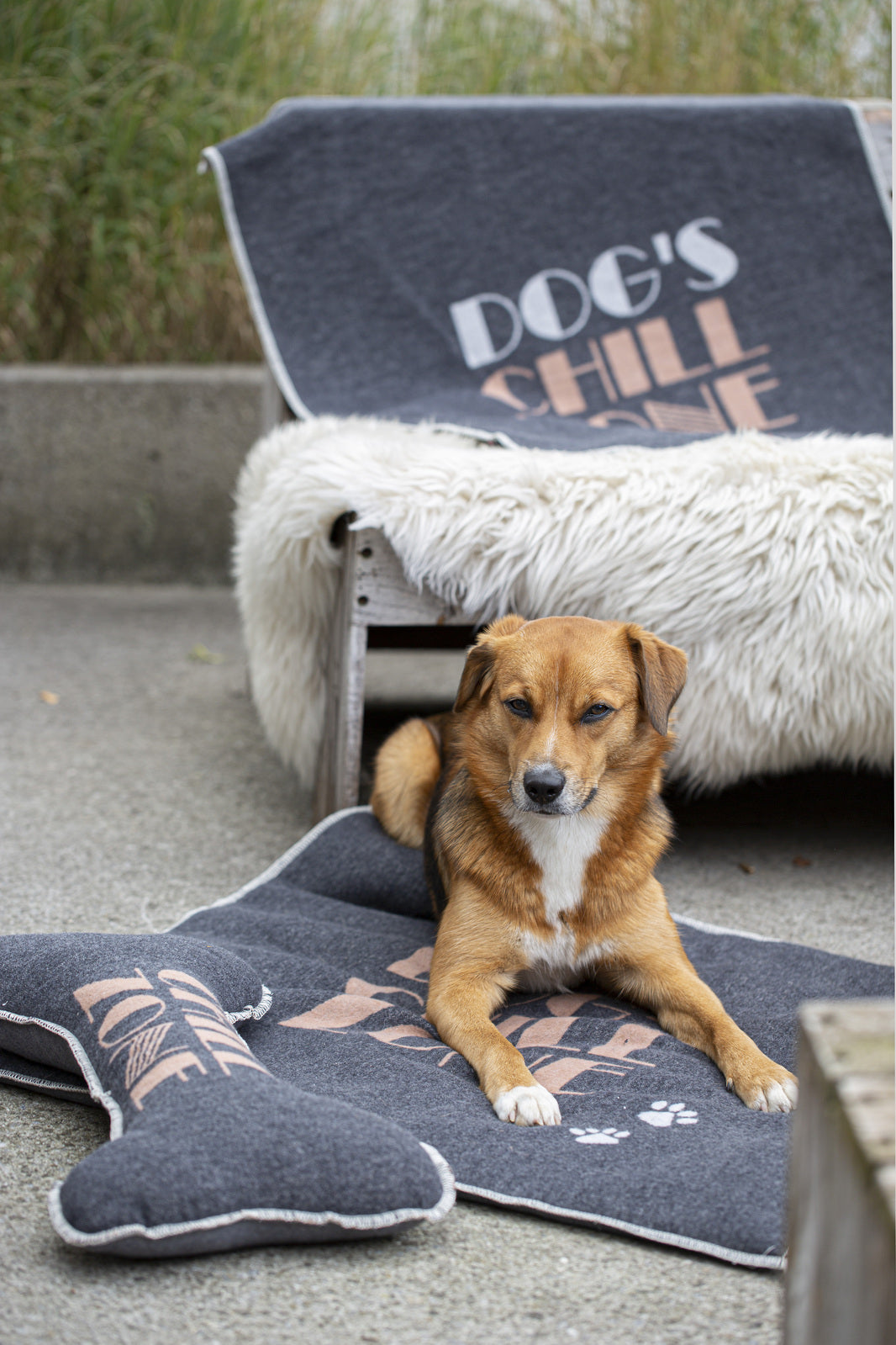 David Fussenegger - Charcoal Dog's Chill Zone Pet Blanket