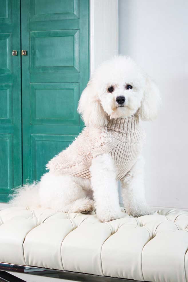 Alqo Wasi Games of Bones Alpaca Dog Jumper - Nude