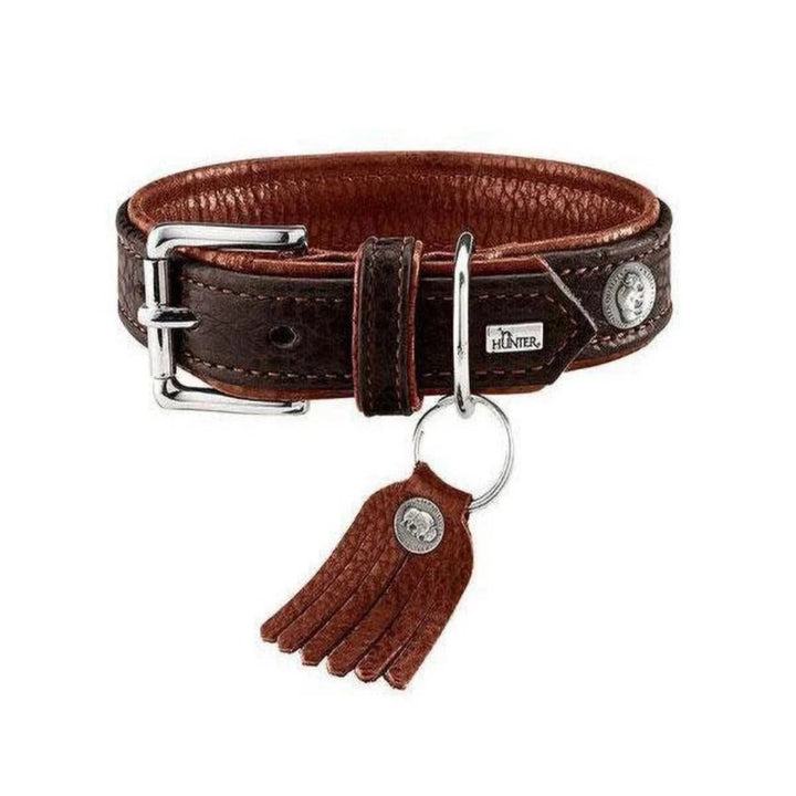 Cody Leather Dog Collar - Dark Brown - Hunter