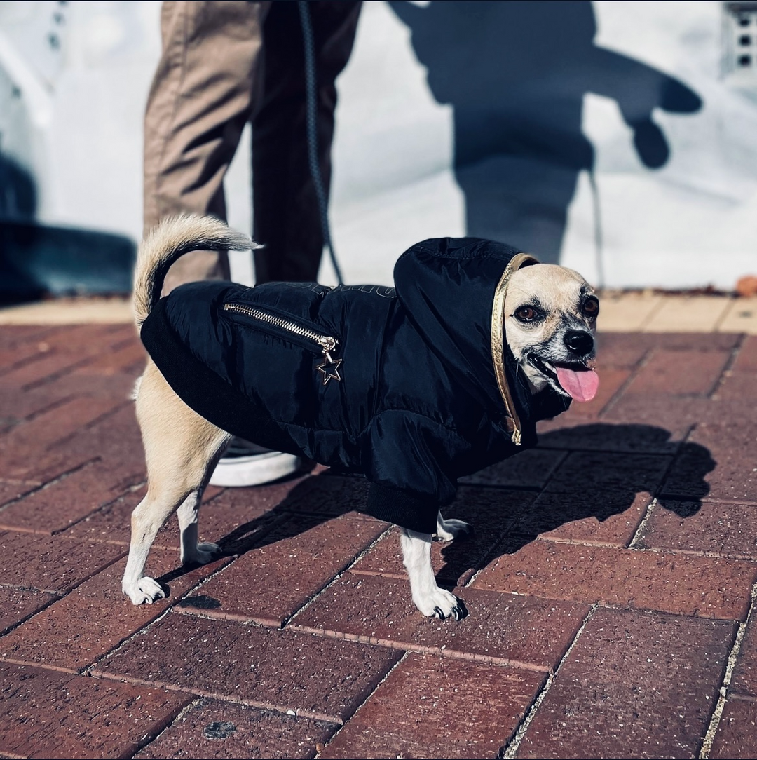 Huskimo Street Gangsta Dog Coat - Black