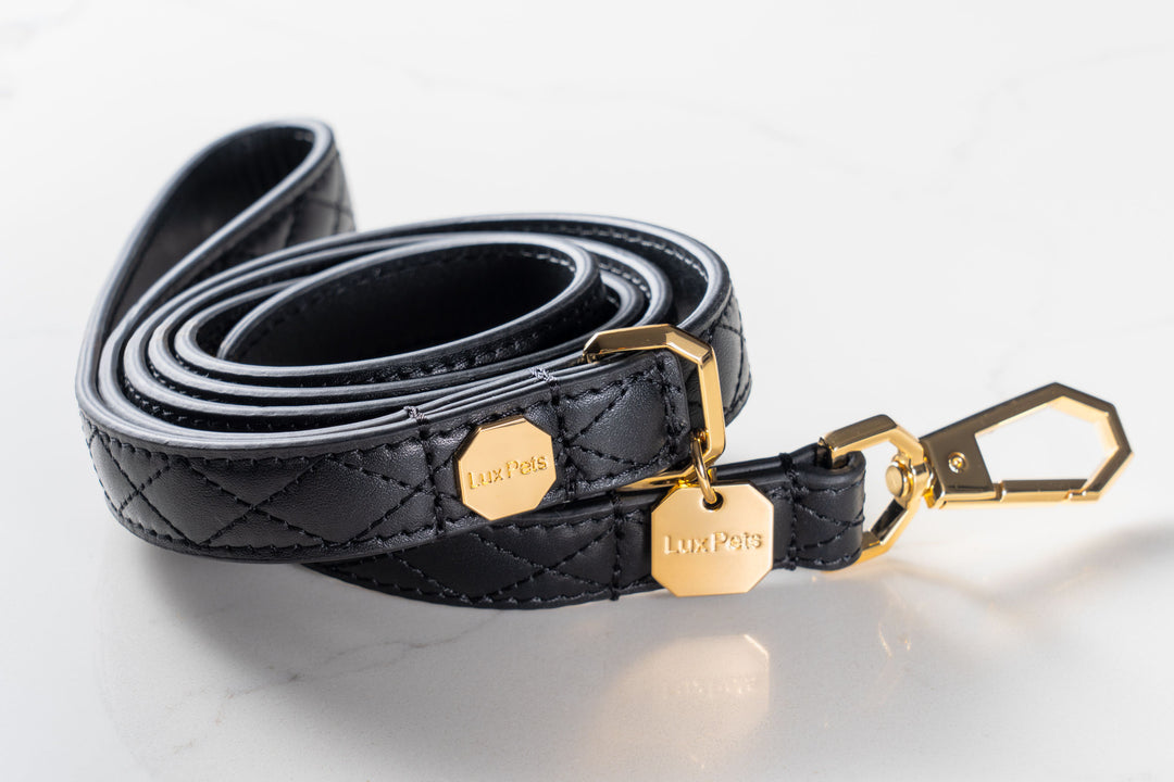 Leather Dog Leash - Black