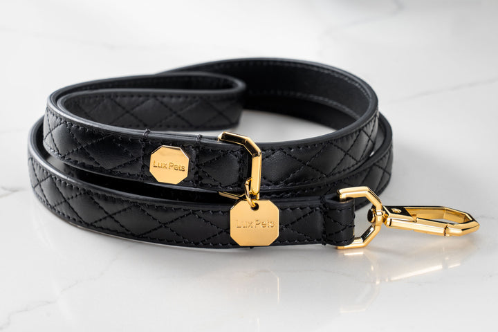 Leather Dog Leash - Black