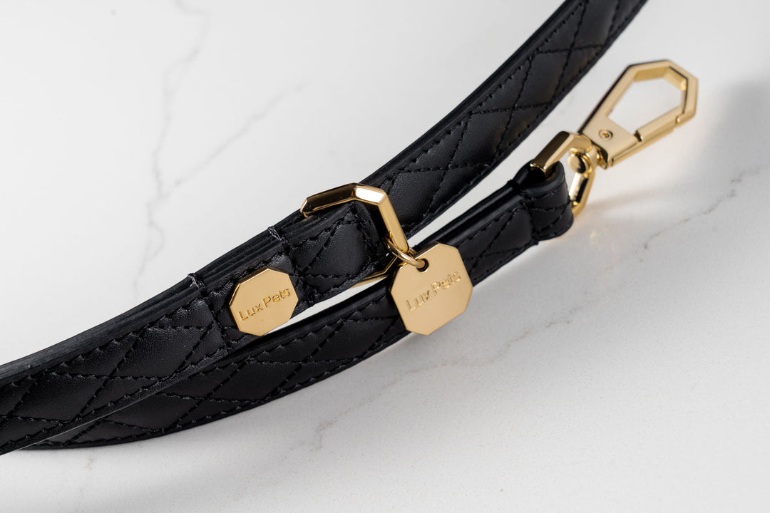 Leather Dog Leash - Black