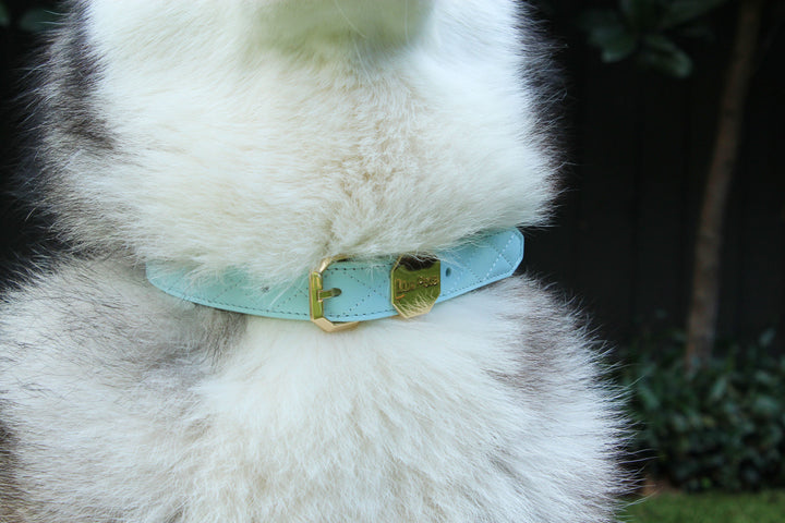 Leather Dog Collar - Blue