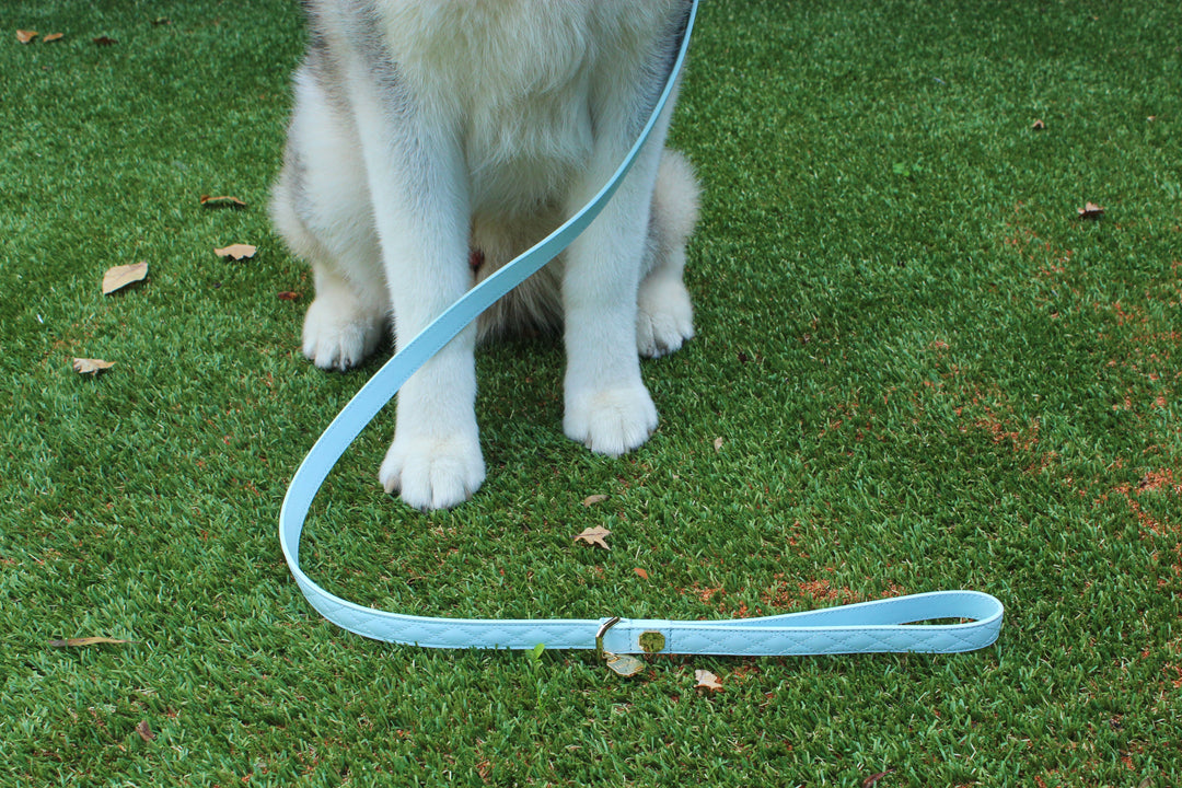 Leather Dog Leash - Blue