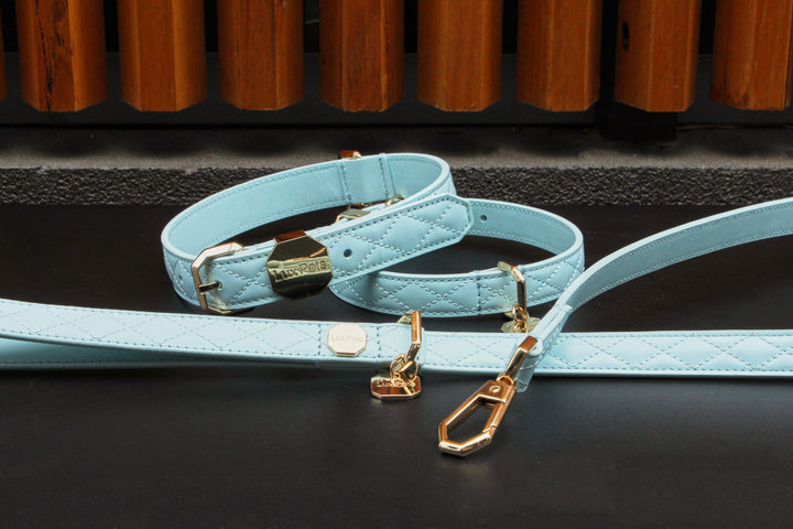 Leather Dog Leash - Blue