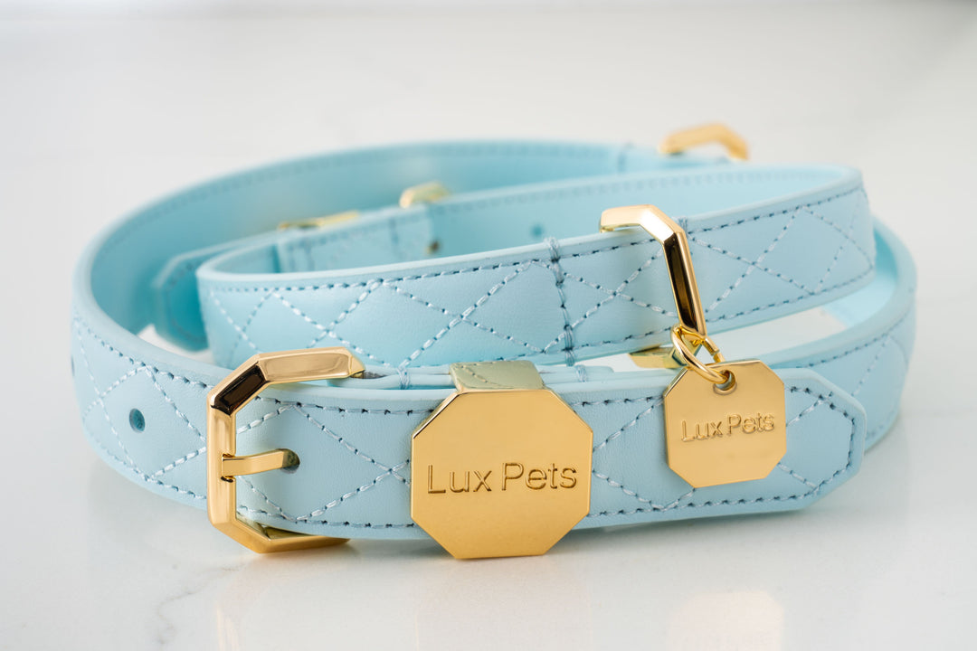 Leather Dog Collar - Blue