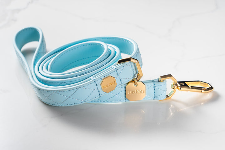 Leather Dog Leash - Blue