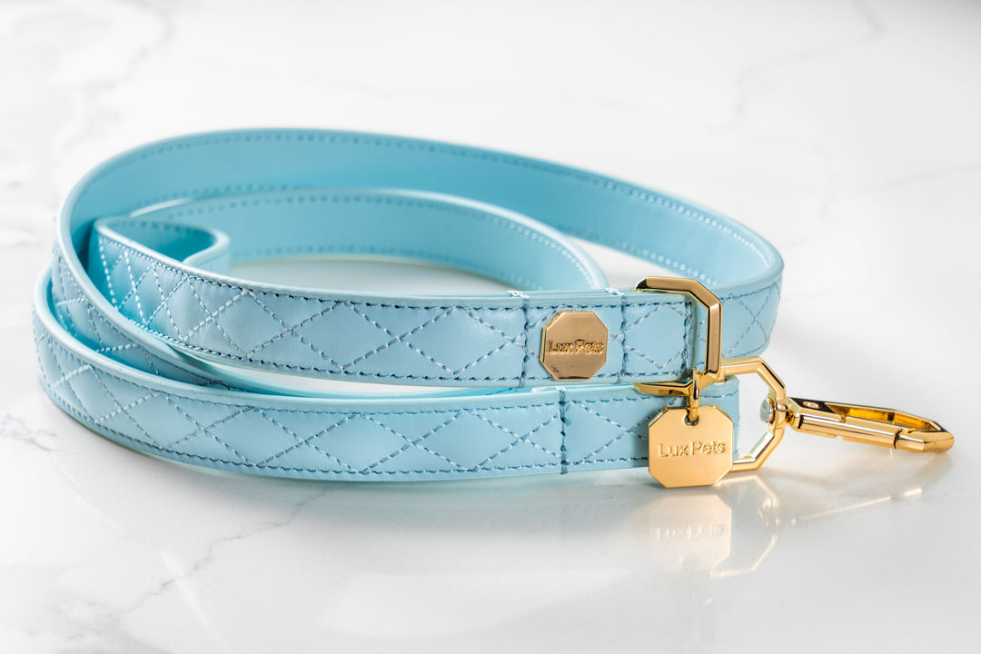 Leather Dog Leash - Blue