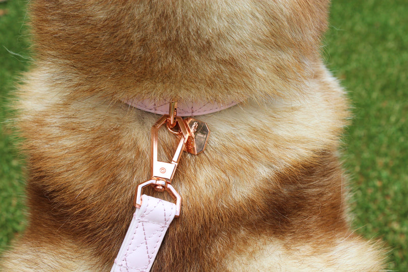 Leather Dog Collar - Pink