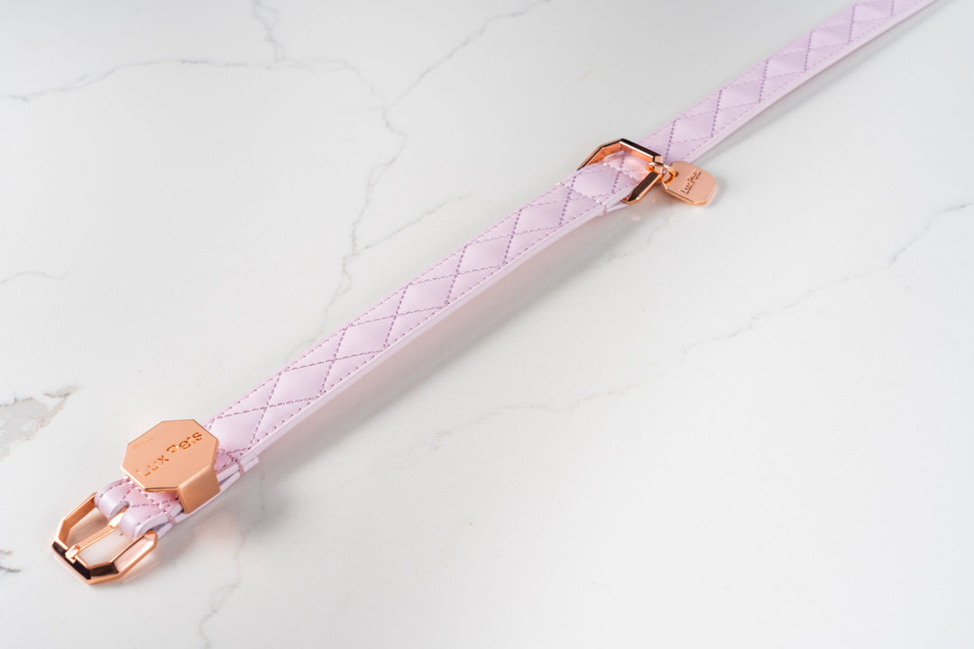 Leather Dog Collar - Pink